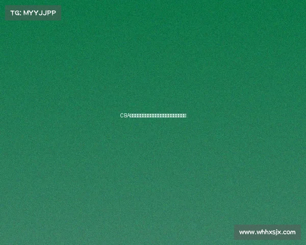 CBA官方专访：深度解析中国篮球发展趋势与未来规划